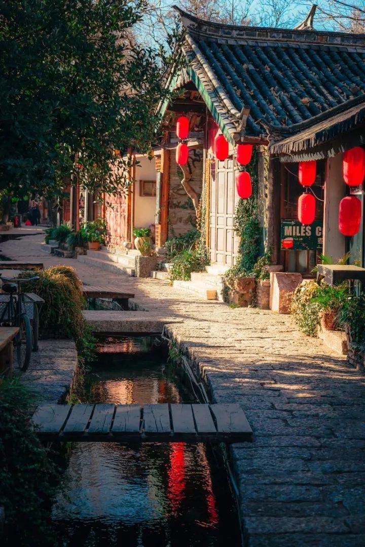 解救金刚鹦鹉