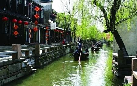 虾和土豆可以混一起吃吗？游戏画面